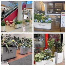 �҃ȑ�����\䓻���M���̘I�V���������w���L���λ������w�仨��