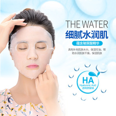 A Branch of Spring Hyaluronic Acid Moisturizing and Hydrating Mask, Protein Mask, Nourishing Moisturizing Mask Patch, One Piece Dropshipping