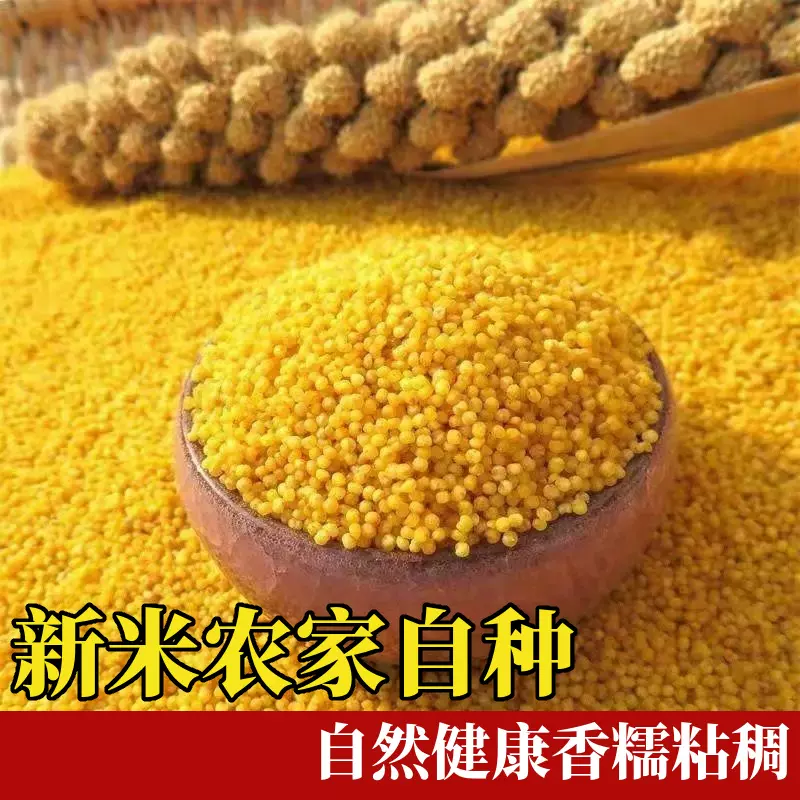 黄小米正宗黄小米坐月子小米新鲜新米农家小米粥五谷杂粮食用煮粥