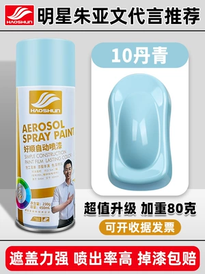 Avtomobil boya qələmləri | Metal Anti-rust Paint Wall - haoshun-self-painted-450ml10-danqing