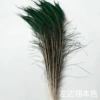 80-90cm Zuo Ling true color