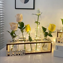 ����G�}ˮ��ֲ�ﲣ����ƿ�廨���k���������b�ˮ�Bֲ�������[��