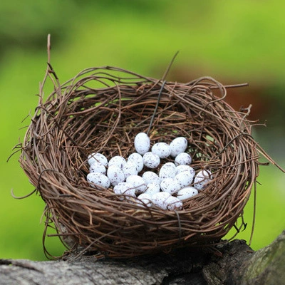 Мох Микро Пейзаж Украшения Сочные Счастливое Птичье Гнездо Мини-Завод Миниатюрные Офисные Украшения Бонсай