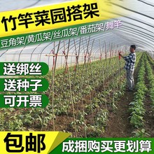 竹竿菜园搭架细竹条豆角架黄瓜架番茄西红柿爬藤架彩旗杆新品包邮