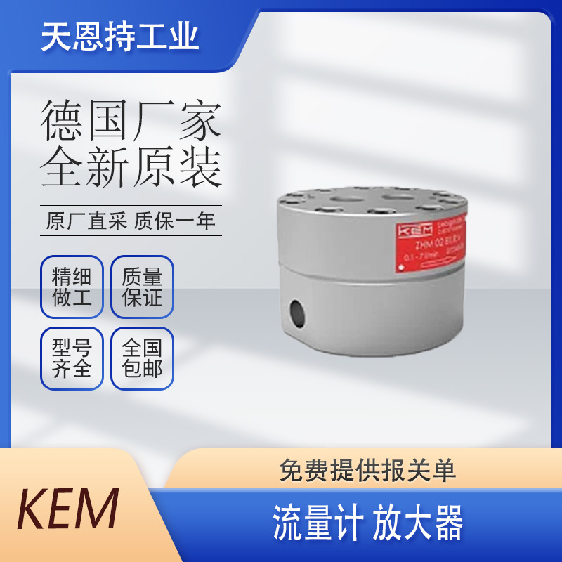 德国 KEM ZHM 01/1 ST  齿轮流量计