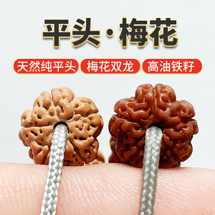 ��Ȼ÷������5��걬��÷���p���yС����������108�w�����ִ���Ů