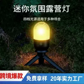 手电筒;手电筒;野营/露营灯