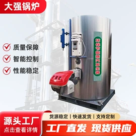 蒸汽发生器;锅炉配附件;燃煤锅炉