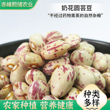 奶花芸豆批发雀蛋豆大花五谷杂粮奶白花芸豆农家自种圆粒芸豆
