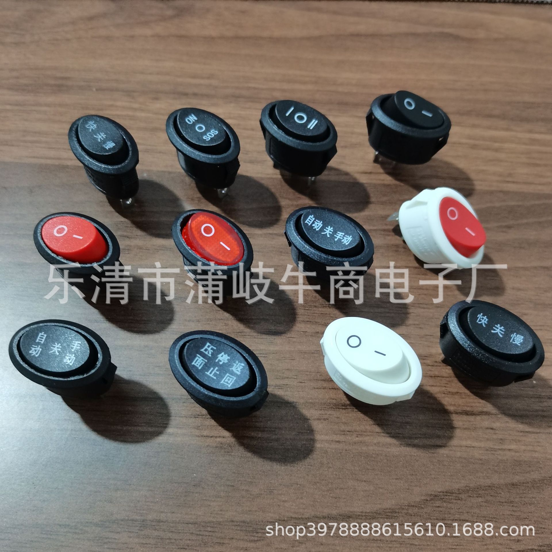 专业圆形翘板式开关/椭圆