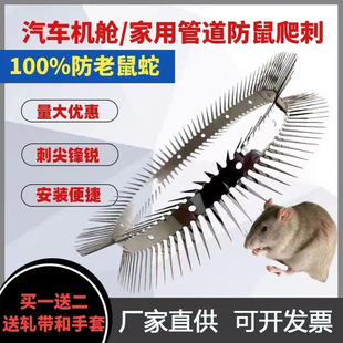 Hot Selling Anti-Climbing Spikes, Anti-Rat Spikes, Anti-Animal Anti-Theft, Mouse Spikes, Pipe Warehouse Exterior Wall Protection Tools
