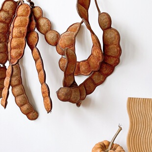 �}�����^�������vƽ������Ȼֲ������˱���֦���g�bҒ�ɻ�