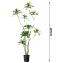 金边仿真客厅植物绿植