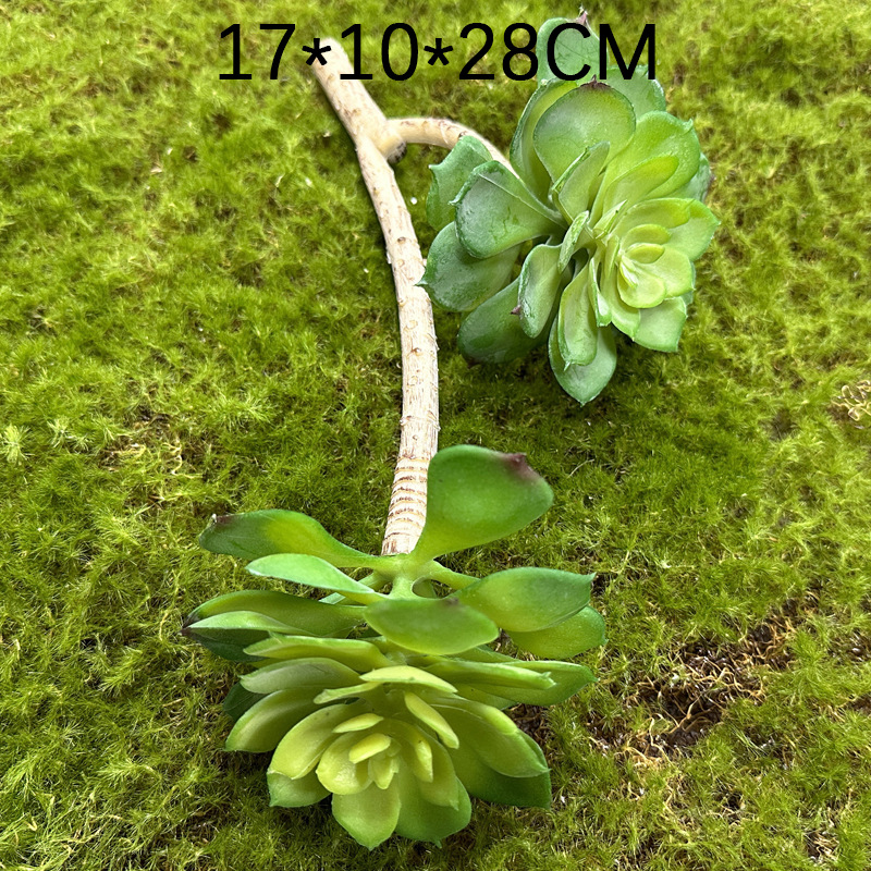 Marco decorativo Planta nórdica colgante de pared decoración de pared colgante de pared tridimensional pared de fondo de planta verde pared cabeza de ciervo simulación suculento planta verde