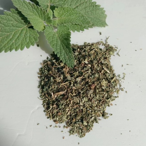 Pet supply factory wholesale non-woven catnip tea bags cat supplies catnip grass cat snacks