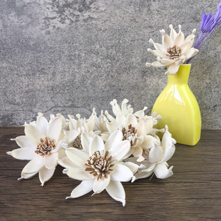 �F؛���l|6cm�ٗl��޹�d�ӻ����滨 ������ʽ��ˇ�b���ͨ�ݻ�