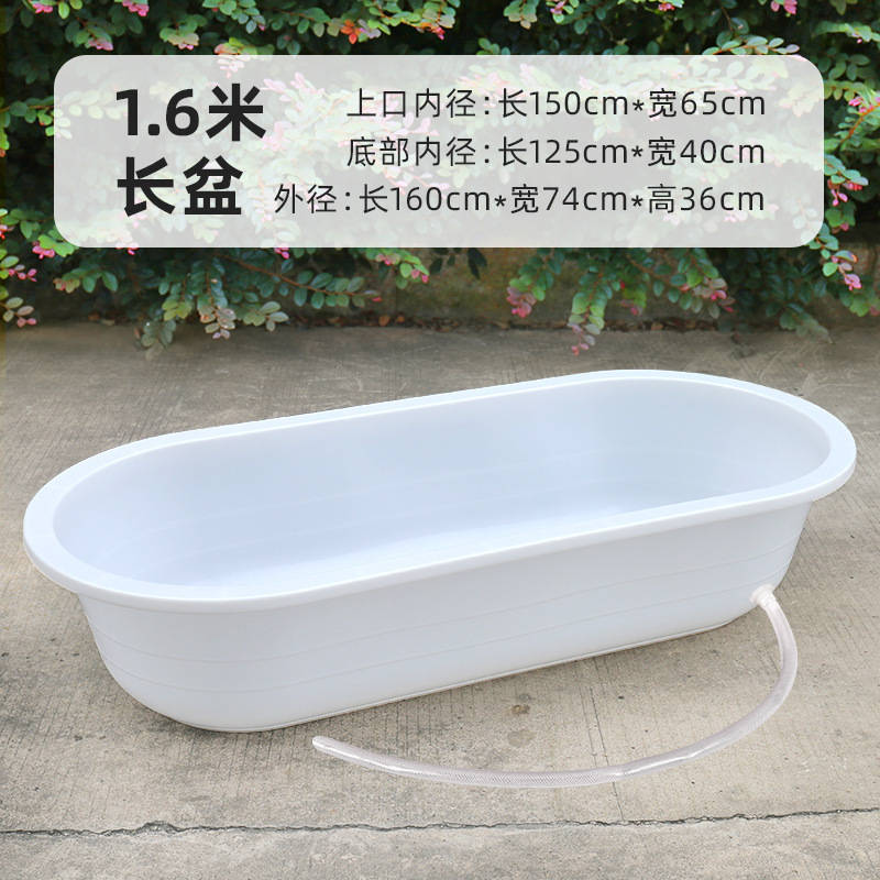 澡盆洗澡盆大人长方形大号家用塑料洗衣狗狗水产养鱼龙虾长盆儿童|undefined