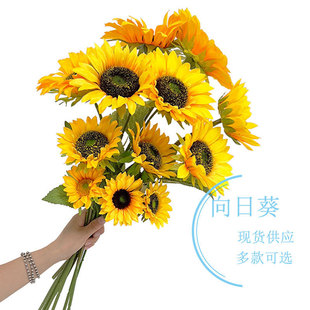 ��֧�������տ����滨���l�Ҿӿ͏d�[����c��ˇ�b��߼ٻ�����
