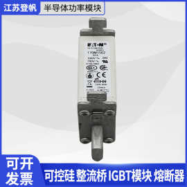 巴斯曼熔断器170M1561/170M1562/170M3117 /170M6814/170M4145