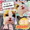 Обратный кот