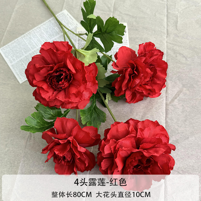 4 헤드 듀 로터스-레드