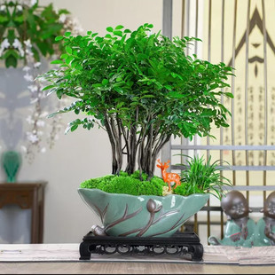 ������⻨���G�U���մ��b[���͏d����΢���^ֲ��С�M������