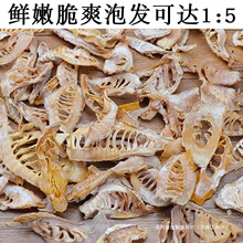 ��S�ɸ�؛�r�������۹S��ɢ�bҰ�����S���mƬ���ϟo�}��؛�S���]