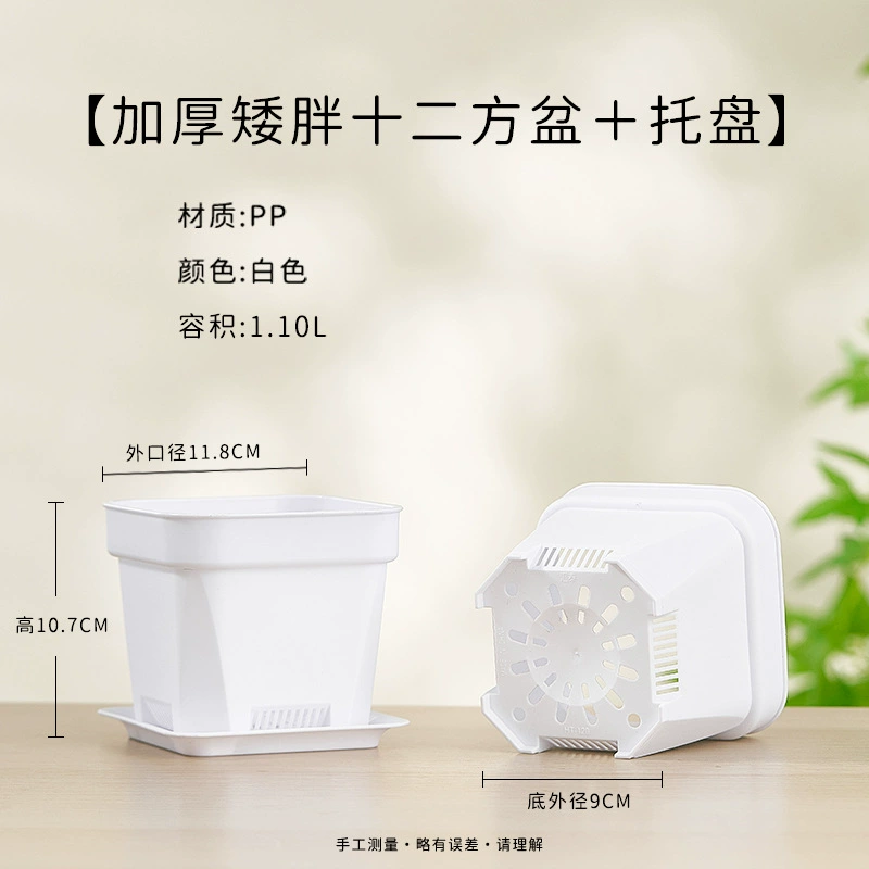 Горячие продажи водопроницаемая осьокорова Escargot Pot Pot Pot Плохой блюдо пластик пластик пластик пластик пласт пластинки Вставка Рули Пот Низкий