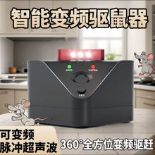 羳2025¿ĺһЧs