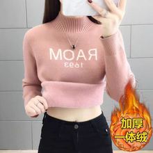 【绵羊绒】羊毛女衫加绒加厚毛衣保暖上衣一体绒修身内搭打底衫冬