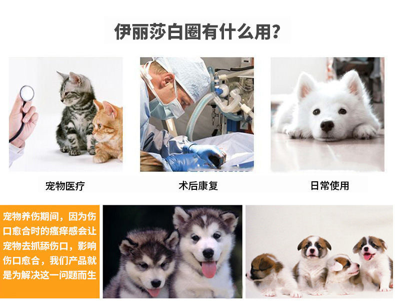 82833167-3e13-42db-a817-41e0e701dd60.jpe