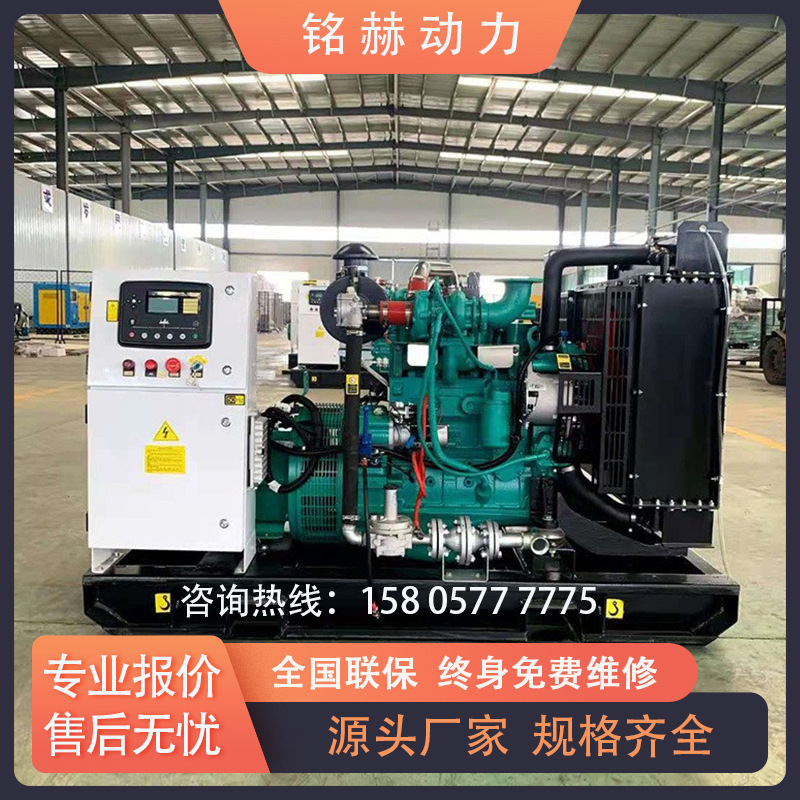 カスタマイズされたガス発電機 江西新余養豚場 バイオガス発電機 河北牛舎 バイオガス発電 インターネット接続|undefined