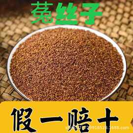 中药材四川野生菟丝子吐丝小菟丝子批发养生泡酒泡茶自然晒干无硫