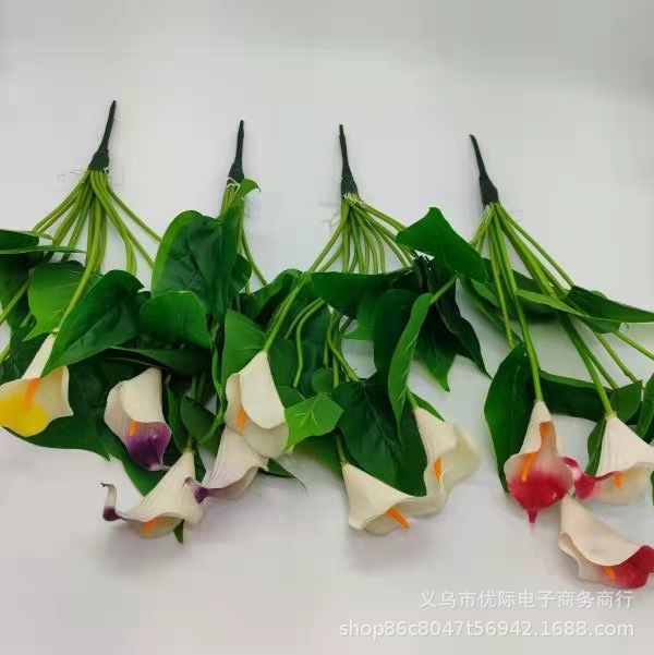 2da3c607c26808201d7d64d7f01f7b