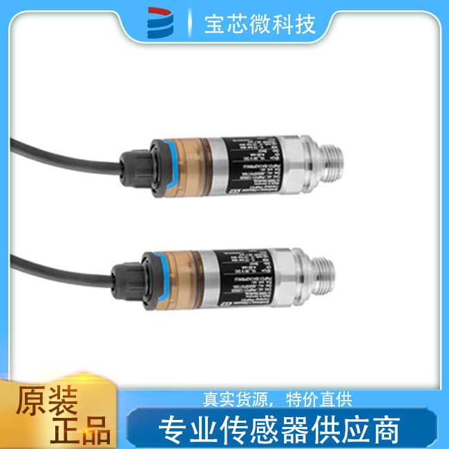 瑞士E+H恩德斯豪斯 绝压和表压变送器  型号PMP21-E6D8/101