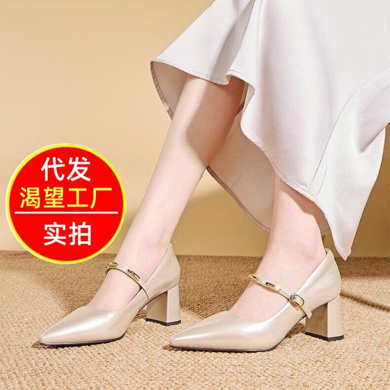 2026 Early Spring New Style Beautiful and Elegant Pointed-Toe High-Heeled Shoes for Women in Black and White, Perfect for Everyday Casual Wear and Versatile for Women