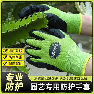 ��ͥ�@ˇ���o�����Ի��Nֲ�������̹������m������ˮ�ڱ�������