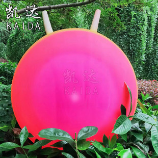 �S��ֱ�N��ǲʺ����׃��@�ı������������呟��ʺ������