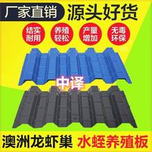 养殖龙虾巢龙虾水蛭水蛭养殖遮阳板澳洲人工巢繁殖蚂蝗休息其他