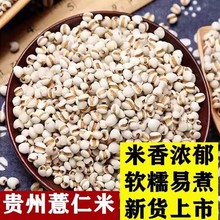 ���ڽ�����؛޲�����F��޲�����r��޲������s�Z�ּZ�Z��