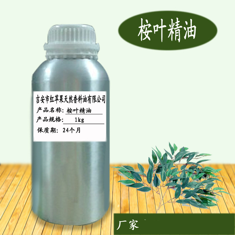 桉叶精油 桉吐素 蓝桉尤加利油 植物蒸馏萃取化妆品日化原料