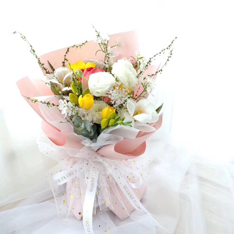 Huaxi estilo coreano estrella de la luna