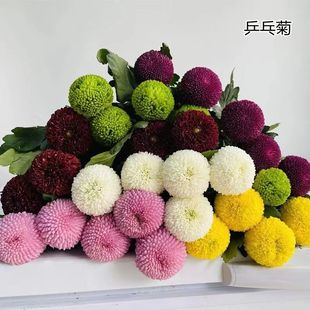 �滨ƹ�Ҿ���������r���F���r�л���c�û����rˮ�B��������ֱ�l