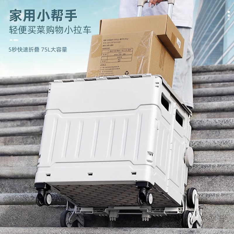 Caja de patinaje de acampamiento Caja de tirón Caja de almacenamiento de patinaje infantil Patinaje portátil plegable compra de verduras tirando de mochila escolar