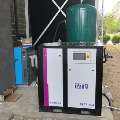Hava kompressorları Variable Frequency Energy-Saving Screw
