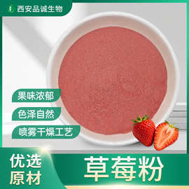 草莓果汁粉奶茶固体饮料水溶性烘焙商用草莓果粉