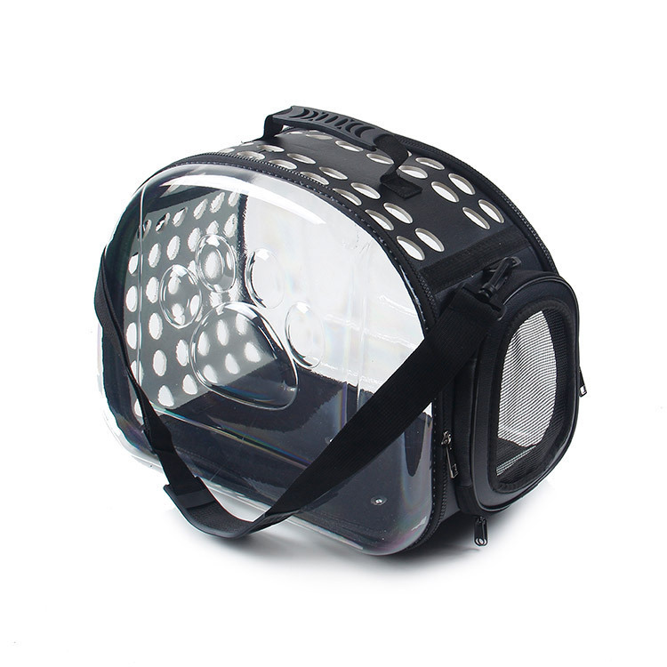 20525202577_244330278