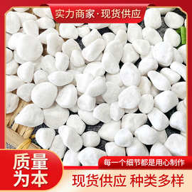 白色鹅卵石厂家园艺盆栽铺面小石头园林枯山水造景白色石子白石子