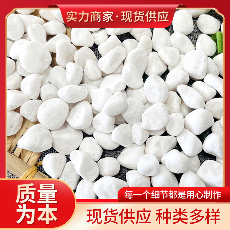 White cobblestone factory Garden potted plant pavement small stone garden dry landscape landscaping white stone white stone