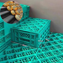 超市水果水果水果店塑料塑料摆果框堆头收纳筐可折叠框周转筐陈列